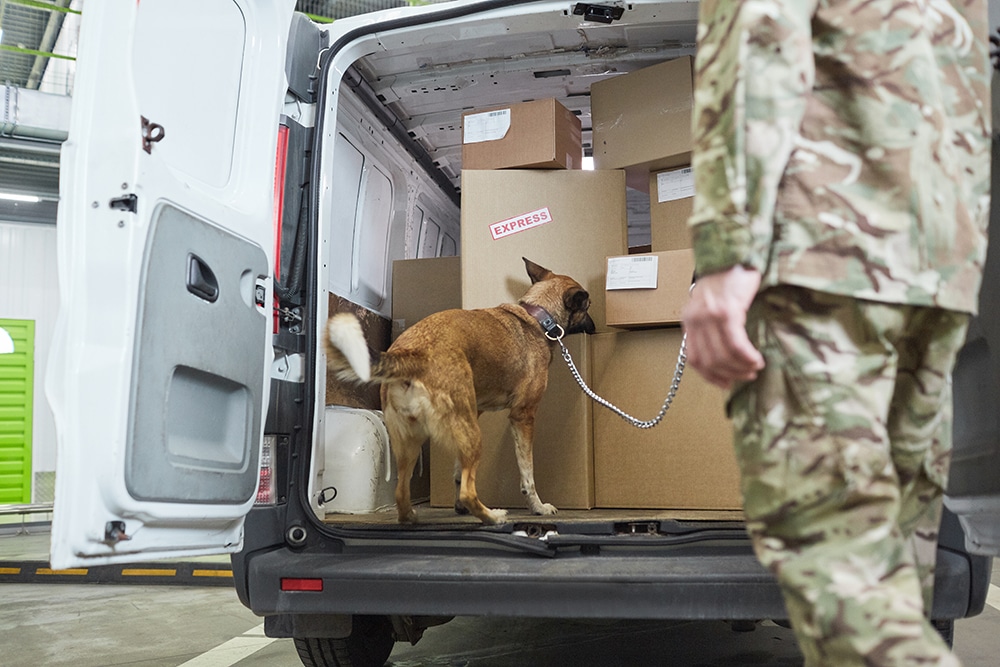 Military dog checking the cargo